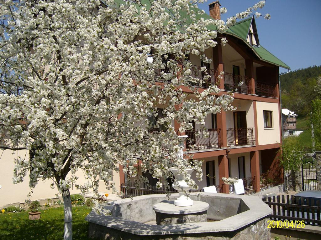 Mokus Panzio Bed & Breakfast Bicfalau ภายนอก รูปภาพ